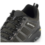 Herrenschuhe Alpine Pro Musswe