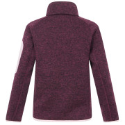 Kinder-Sweatshirt Regatta Junior Newhill Fig Powder Lilac