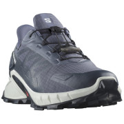 Herren Laufschuhe Salomon Supercross 4 Gore-Tex grau/weiß Grisaille / White / Carbon