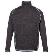Herren-Sweatshirt Regatta Hepley