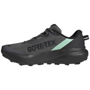 Damen Laufschuhe Adidas Terrex Tracefinder Plus Gtx