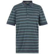 Herren-T-Shirt Regatta Kildra grau StormyWeathr