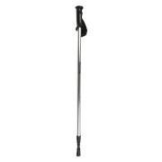 Trekkingstock Regatta AS Walk Pole II silber Silver