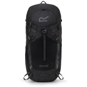 Rucksack Regatta Blackfell IV 25L schwarz Black