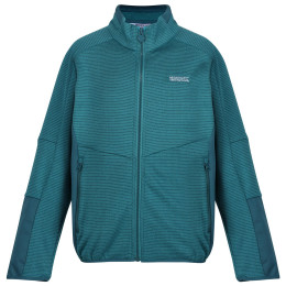 Kinder-Sweatshirt Regatta Highton WtrFZ III hellblau Pagoda/Drgnf