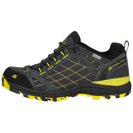 Trekkingschuhe Alpine Pro Israf 2 grau