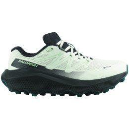 Damen Laufschuhe Salomon Ultra Flow 2 Gore-Tex