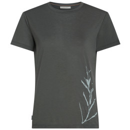 Damen-Funktionsshirt Icebreaker Merino Blend Core SS Tee Panax