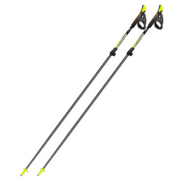 Nordic Walking Stöcke Fizan Carbon Pro 2-pcs