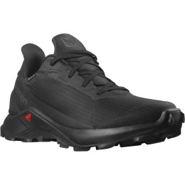 Herrenschuhe Salomon Alphacross 3 Gore-Tex schwarz Black(PantoneTapShoe)