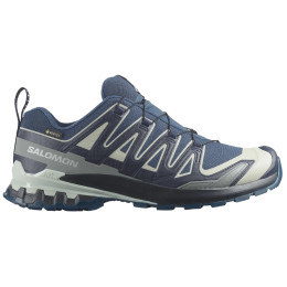 Wanderschuhe Salomon Xa Pro 3D V9 Gore-Tex