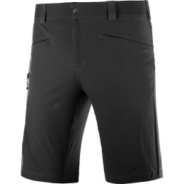 Herrenshorts Salomon Wayfarer schwarz Black