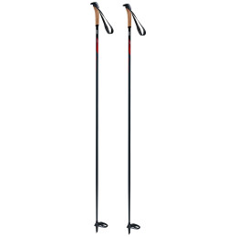 Stöcke Swix Elite Tradition schwarz Black