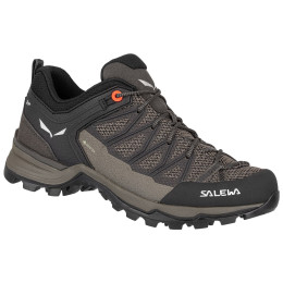 Damenschuhe Salewa Ws Mtn Trainer Lite Gtx grau