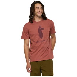 Herren-T-Shirt Cotopaxi M'S Cotopaxi Llama T-Shirt braun Nutmeg