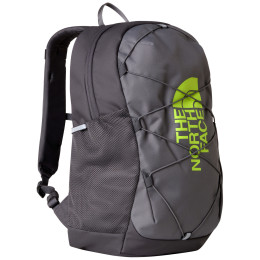 Schulrucksack für Oberstufe The North Face Y Court Jester