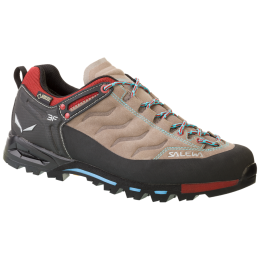 Damenschuhe Salewa MTN Trainer GTX (2017) braun