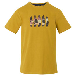 Herren T-Shirt Regatta Cline IX braun MstrdSrfBrds