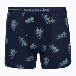 Herren funktionelle Boxershorts Icebreaker Men M 150 Anatomica Boxers BearTourAOP