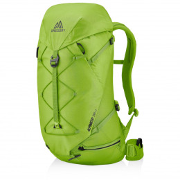 Rucksack Gregory Alpinisto 38 LT grün LichenGreen