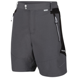 Herrenshorts Regatta Sungari Shorts II grau Magent/Black