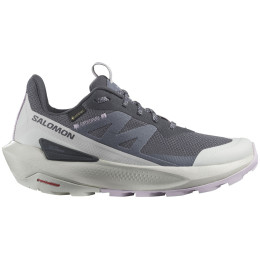 Damen Trekkingschuhe Salomon Elixir Activ Gore-Tex
