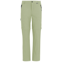 Herrenhose Regatta Anti-Insect Travel Light Z/O Trousers hellgrün Light Sage