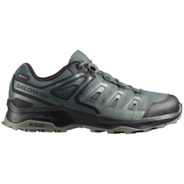 Herren Trekkingschuhe Salomon Extegra Gore-Tex