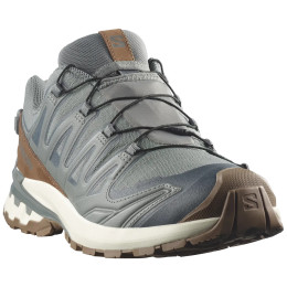 Herrenschuhe Salomon Xa Pro 3D V9 Gore-Tex Lifelong