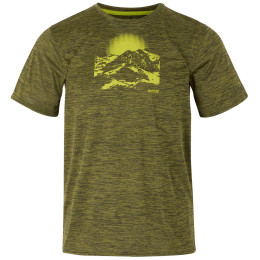 Herren-T-Shirt Regatta Fingal IX dunkelgrün NephrtGrnMrl