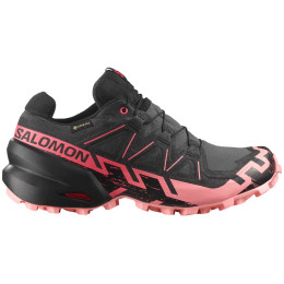 Damenschuhe Salomon Speedcross 6 Gore-Tex