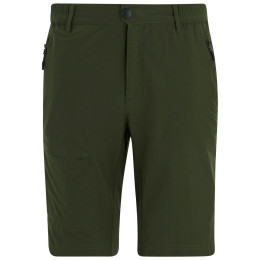 Herrenshorts Regatta Highton Shorts Long II