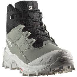 Damenschuhe Salomon Crosstrak Waterproof grün Agave Green / Black / Canary Green