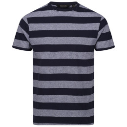 Herren-T-Shirt Regatta Ryeden grau Navy/WhitStr