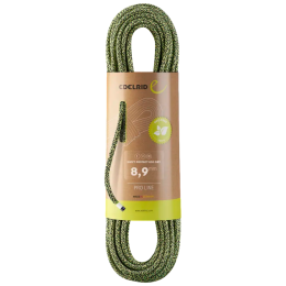 Seil Edelrid Swift Protect Eco Dry 8,9mm grün 022 night-green