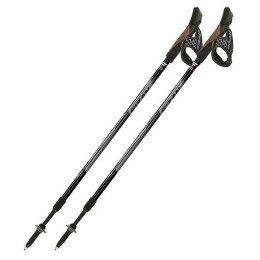 Stöcke Fizan NW Speed