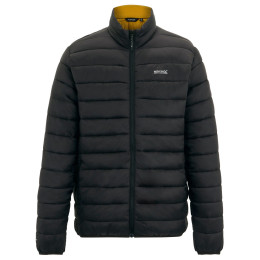 Herren-Steppjacke Regatta Marizion schwarz/braun Blk(WoodBrn)