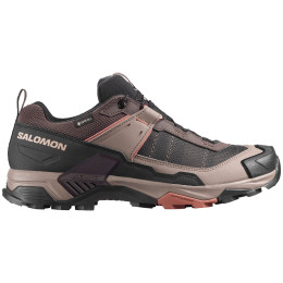 Wanderschuhe Salomon X Ultra 5 Gore-Tex