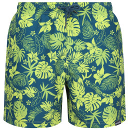 Herrenshorts Regatta Loras Swim Short m grün/blau Moroccan Blue Hawaiian Print