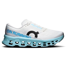 Herren Laufschuhe On Running Cloudmonster 3