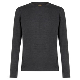 Herren-Funktionsshirt Icebreaker Men 200 MerinoFine Ace LS Crewe grau Jet Hthr-011