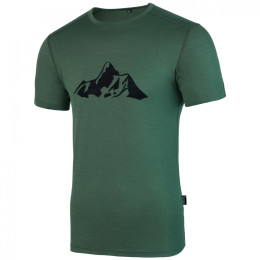 Herren-T-Shirt Warg Merino Mountain 165 Short Comfy grün Green