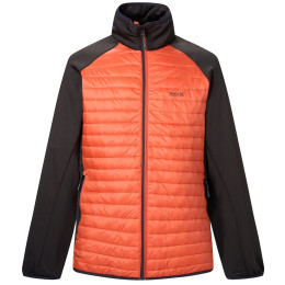 Herrenjacke Regatta Clumber Hybrid