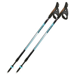 Stöcke Fizan NW Speed