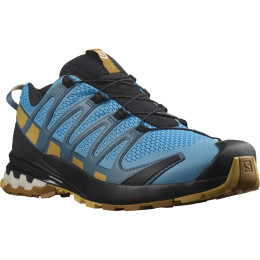 Herren Laufschuhe Salomon Xa Pro 3D V8