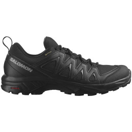 Herrenschuhe Salomon X Braze Gore-Tex schwarz Black