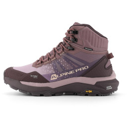 Schuhe Alpine Pro Evane