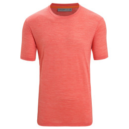 Herren-Funktionsshirt Icebreaker Men Sphere II SS Tee orange Vibrant Earth Heather