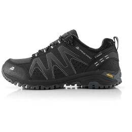 Trekkingschuhe Alpine Pro Chefornak 2 schwarz