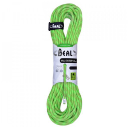 Kletterseil Beal Wall Cruiser 9,6 mm (40 m) grün green